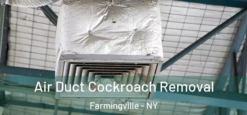  Air Duct Cockroach Removal Farmingville - NY