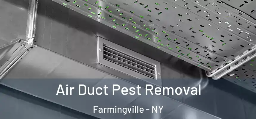 Air Duct Pest Removal Farmingville - NY