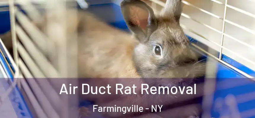  Air Duct Rat Removal Farmingville - NY
