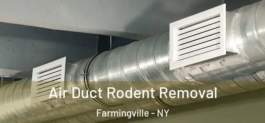  Air Duct Rodent Removal Farmingville - NY