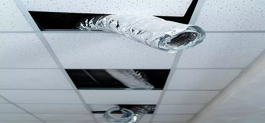 Affordable HVAC Sanitizing After Pest Removal in Farmingville