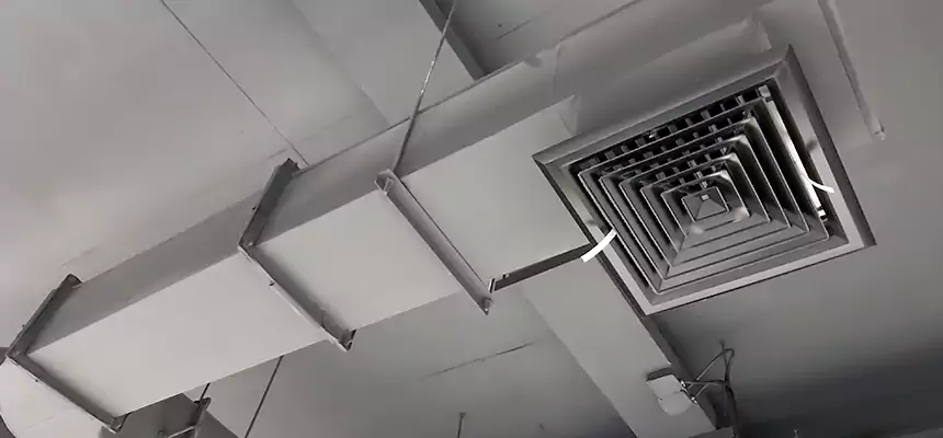 Our Pest Removal From Ducts Services in Farmingville, NY