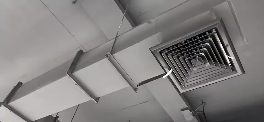 Our Rodent Droppings In Vents Services in Farmingville, NY