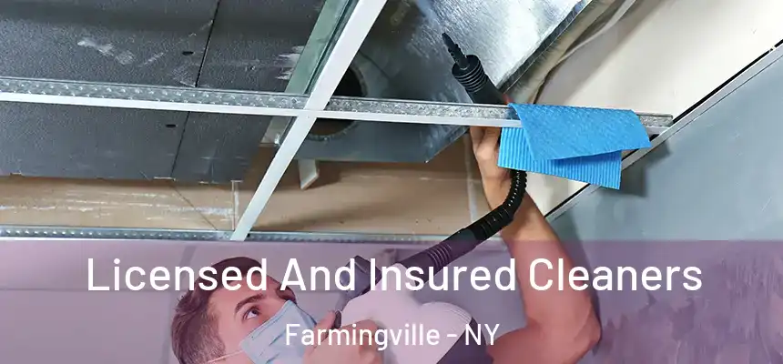 Licensed And Insured Cleaners Farmingville - NY