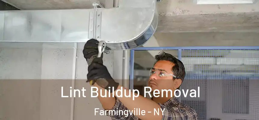Lint Buildup Removal Farmingville - NY