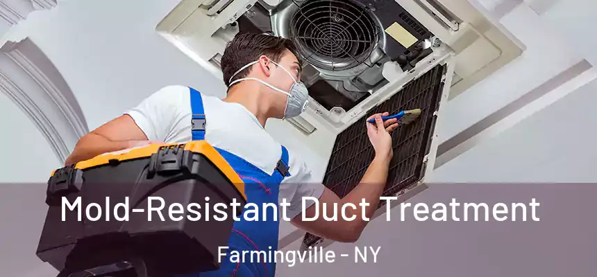  Mold-Resistant Duct Treatment Farmingville - NY