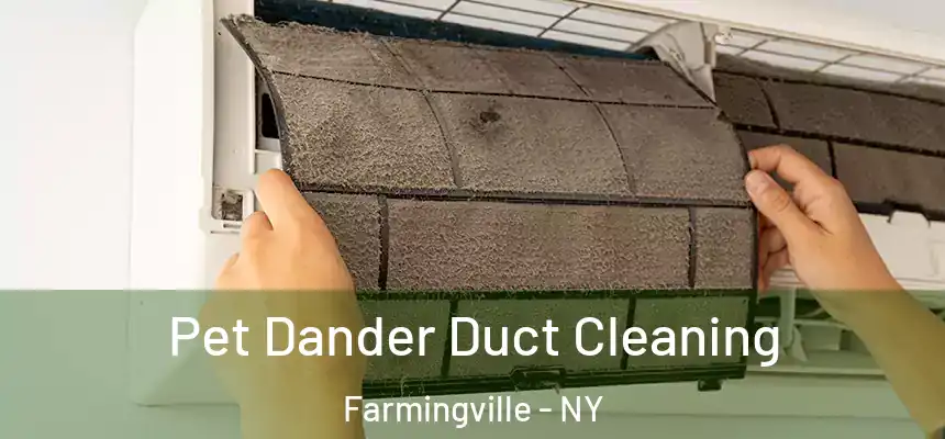 Pet Dander Duct Cleaning Farmingville - NY