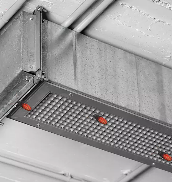 About Air Duct Cockroach Removal in Farmingville, NY