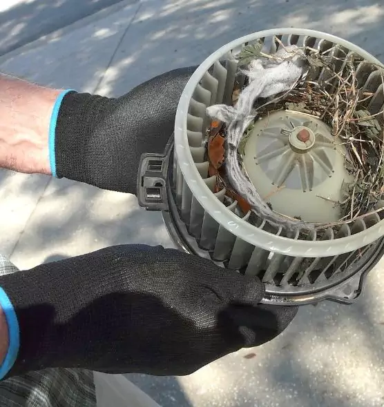 About Air Duct Rat Removal in Farmingville, NY