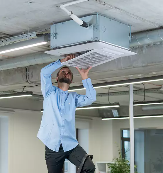 Advanced Rodent Droppings In Vents in Farmingville, NY