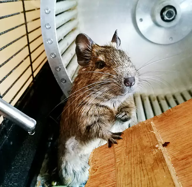 Why Homeowners & Businesses Trust Us Farmingville, NY