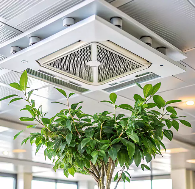 Why Homeowners & Businesses Trust Us in Farmingville, NY